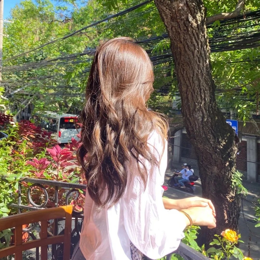 夏有乔木 雅望天堂2024